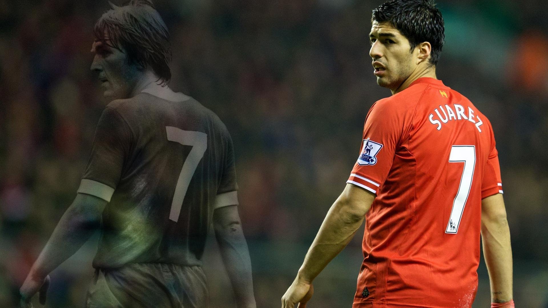 开云注册网址-哥伦比亚马术协会建立马匹基因数据库，促进马匹选育与训练。，哥伦比亚 马孔多